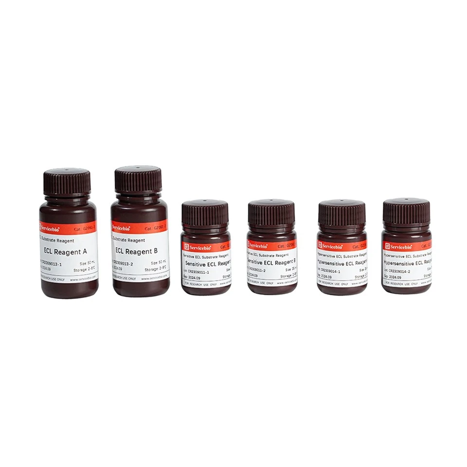 ECL Chemiluminescent Substrate Reagent Combo Pack ECL Chemiluminescent Substrate Reagent Combo Pack
