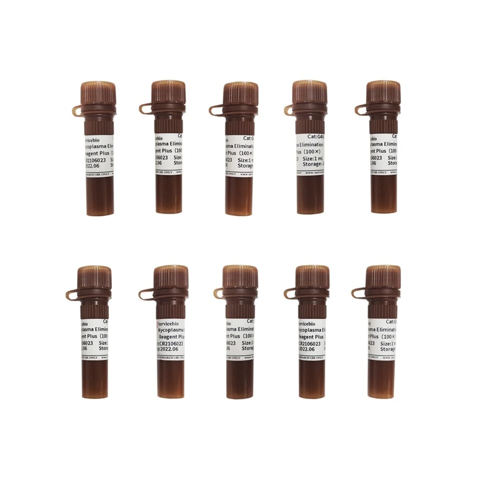 Mycoplasma Elimination Reagent Plus (100×) Mycoplasma Elimination Reagent Plus (100×)