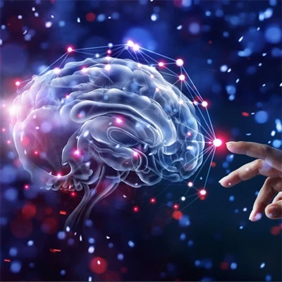 Nervous System Related Antibodies, Click And Learn More!