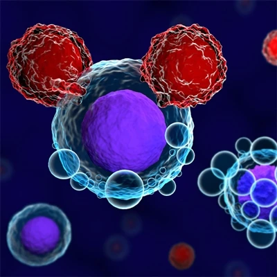 Antibody Focus | Immune Cell T-cell Markers
