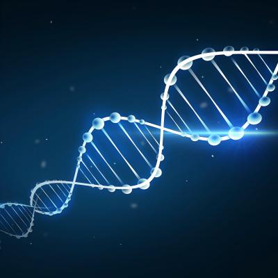 Clarifying PCR, QPCR, RT-PCR, And RT-qPCR in One Article
