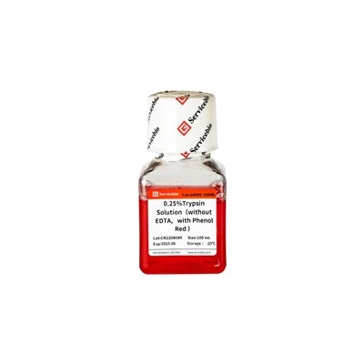 0.25% Trypsin (Soluble in PBS，Phenol Red,Without EDTA)