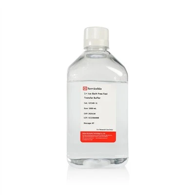 1× Ice-Bath Free Fast Transfer Buffer（ready-to-use）