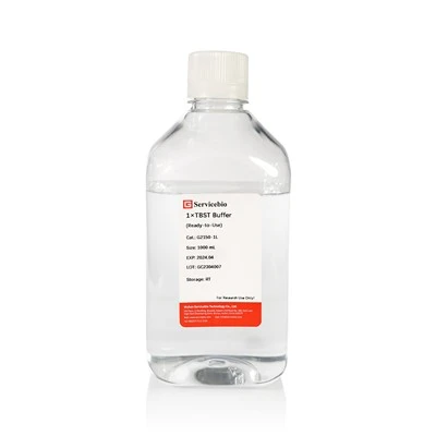 1×TBST Buffer (Ready-to-Use)
