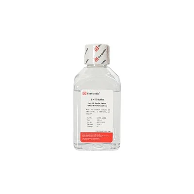1×TE Buffer (pH 8.0, Sterile, DNase, RNase & Proteinase Free)