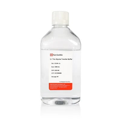 1× Tris-Glycine Transfer Buffer (Ready To Use)