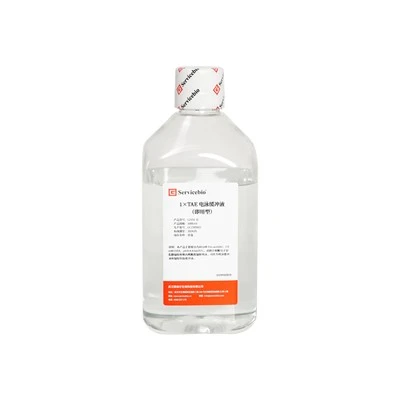 1 X TAE Electrophoresis Buffer (Ready-to-Use)