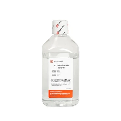1 X TBE Electrophoresis Buffer (Ready-to-Use)
