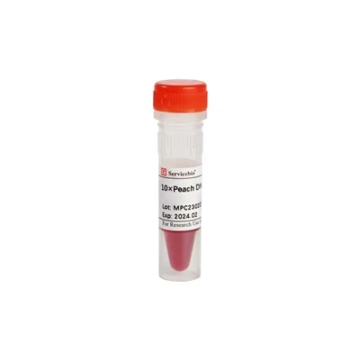 10×Peach DNA Loading Buffer