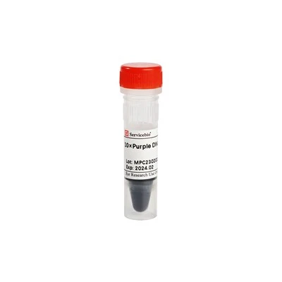 10×Purple DNA Loading Buffer