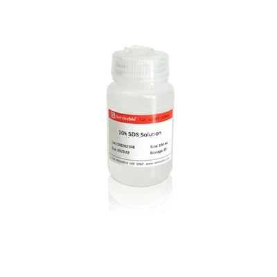 10% SDS Solution