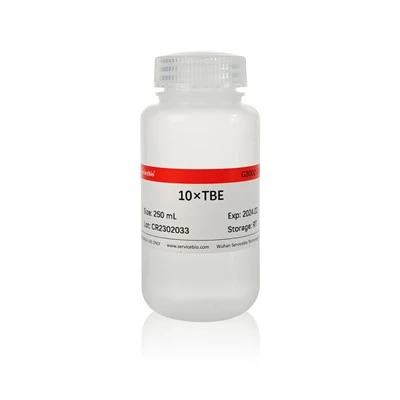 10×TBE Electrophoresis Buffer Solution