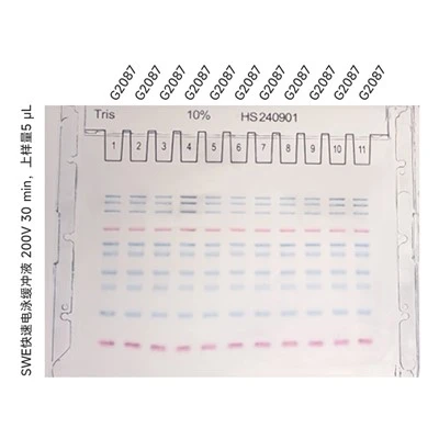 10% Tris SwePAGE Pre-Cast Gel (11-well)