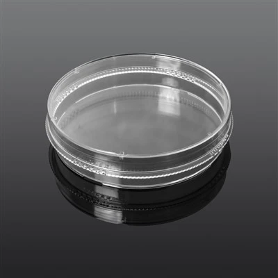 100 mm Cell Culture Dish