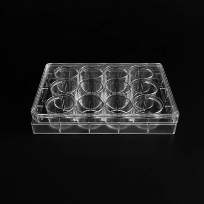 12 Well Cell Culture Plate