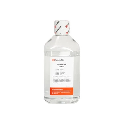 1X TBS Buffer (Ready To Use)