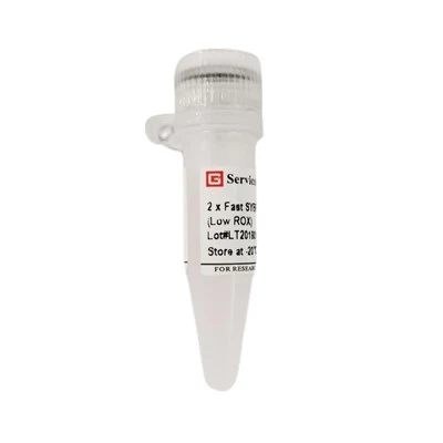 2 × Fast SYBR Green QPCR Master Mix (Low ROX)