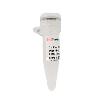 2 × Fast SYBR Green QPCR Master Mix (None ROX)