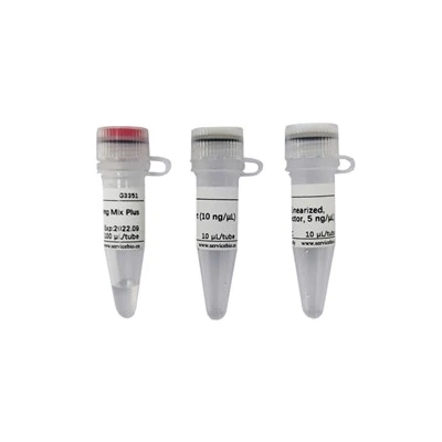 2×In-Fusion Cloning Mix Plus