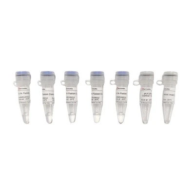 2×In-Fusion Cloning Mix