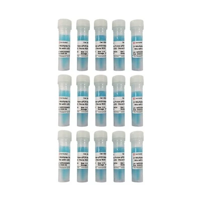 2×Multiplex Probe QPCR Master Mix With UDG（None ROX）