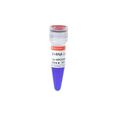 2×RNA Loading Buffer