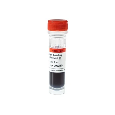 2×SDS-PAGE Protein Loading Buffer (Odorless, Reducing)