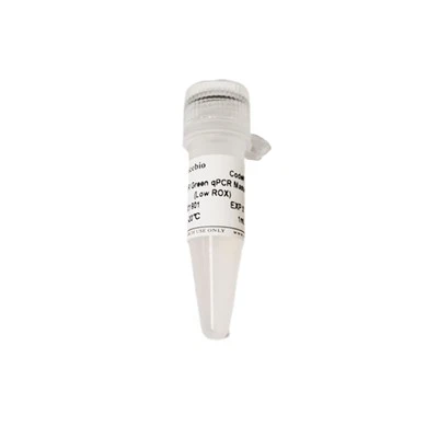 2×SYBR Green QPCR Master Mix (Low ROX)
