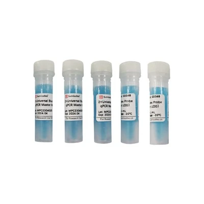 2×Universal Blue Multiplex Probe QPCR Master Mix（with UDG）