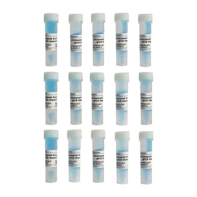 2×Universal Blue Probe QPCR Master Mix