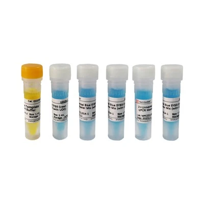 2×Universal Blue SYBR Green QPCR Master Mix (with UDG)