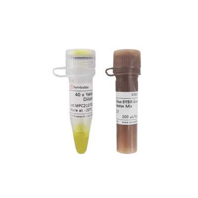 2×Universal Blue SYBR Green QPCR Master Mix