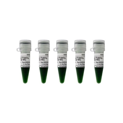 2 X Fast High Fidelity PCR Master Mix