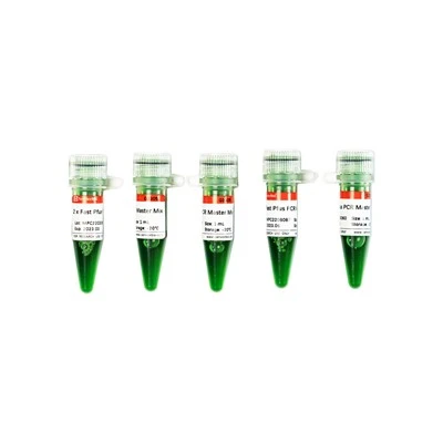 2 X Fast Pfus PCR Master Mix