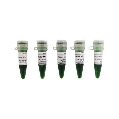 2 X LA PCR Master Mix