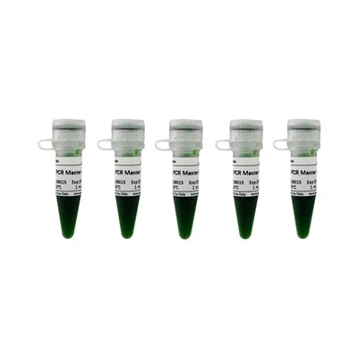 2 X Taq PCR Master Mix