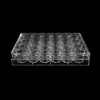 24 Well Cell Culture Plate