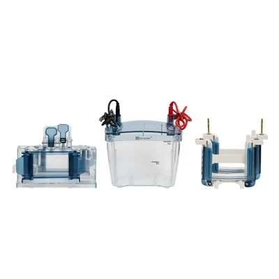4-Gel Vertical Electrophoresis System For Bio-Rad