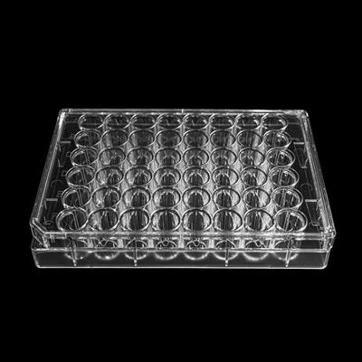 48 Well Cell Culture Plate