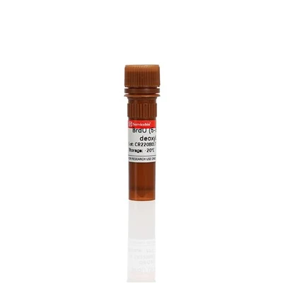 5-bromo-2'-deoxyuridine (BrdU)