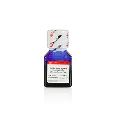 5×SDS-PAGE Protein Loading Buffer (Odorless, Reducing)