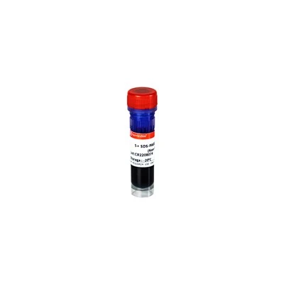 5 X SDS-PAGE Loading Buffer (Non-Reduced)
