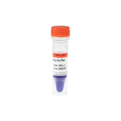 6× DNA Loading Buffer