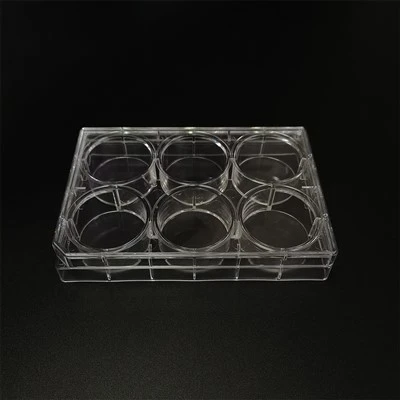 6 Well Cell Culture Plate