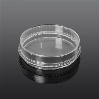 60 mm Cell Culture Dish
