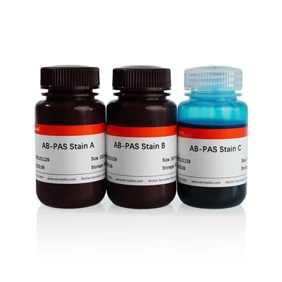 AB-PAS Stain