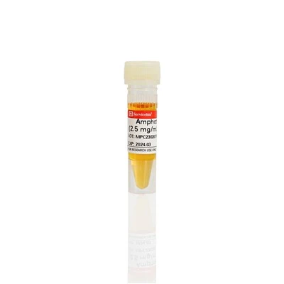 Amphotericin B (2.5 Mg/mL in DMSO)