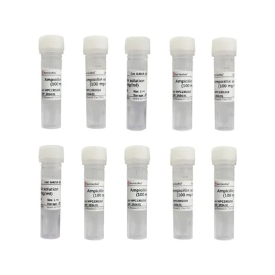 Ampicillin Solution (100mg/mL)