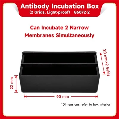Antibody Incubation Box (2 Grids Light-Proof)
