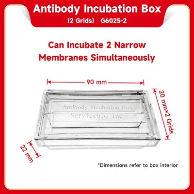 Antibody Incubation Box (2 Grids)